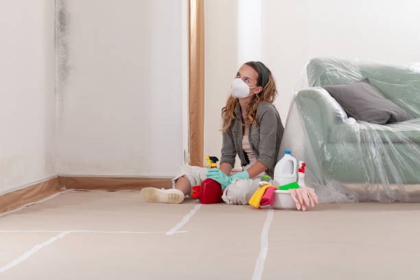 Reliable Commercial Mold Remediation contractor in Huntington, VA by Car Mold Remediation